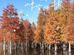 -白鹭湾湿地公园