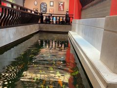 -龙悦湾酒家·八阵鱼生·渔人码头店