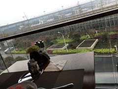 从餐厅看机场里面-南京禄口机场雅高铂尔曼大酒店