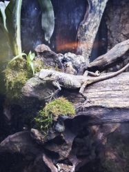 -酷嗒动物文化乐园(cutezoo西溪乐天城店)