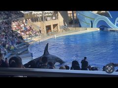 -上海海昌海洋公园