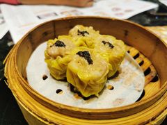 -新兴·金羊座·粤菜点心(乐峰店)