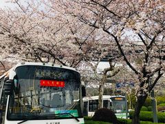 -上海南浦大桥长途旅游客运站
