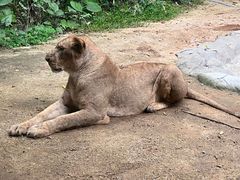 -广州长隆野生动物世界