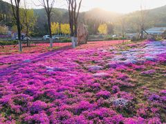 -棒棰岛宾馆景区