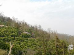 -莫干山风景区