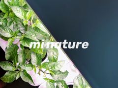 -月星家居(杭州商场店)