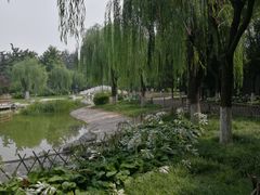 -丰台科技园生态主题公园