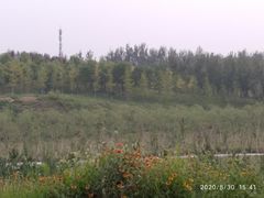 -东郊湿地公园