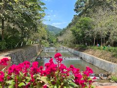 -广州白江湖森林公园