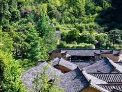 -杨家堂村