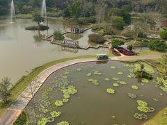 -中国科学院西双版纳热带植物园