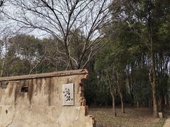 -良渚古城遗址公园