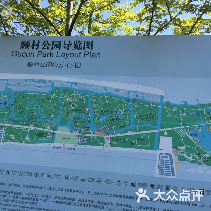 上海顾村公园景点介绍图片