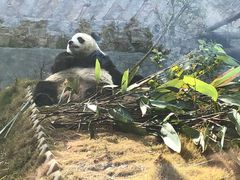 -泉州海丝野生动物世界