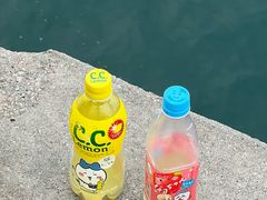 -DON DON DONKI(名珠城店)