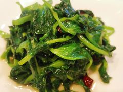 炝炒豆苗-金鼎轩(亚运村店)