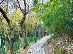 -上海佘山国家森林公园西佘山园