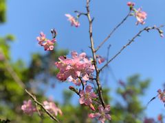 -桃花涧