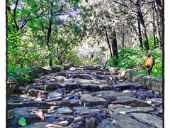 -阳台山自然风景区