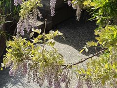 -济南国际园博园