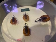 -陕西自然博物馆