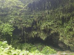 -海口火山口国家地质公园