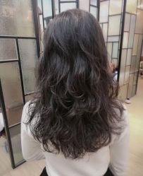 点击看大图 -AYO SALON