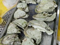 特大蒸生蚝-蚝专家(北滘店)