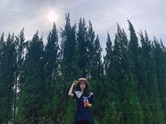 -Blue Concept Cafe&Farm·關於藍