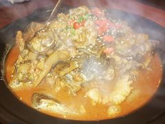 甲鱼锅-洪湘记川湘·甲鱼馆(四海凯悦美食广场店)