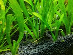 -上海海洋水族馆