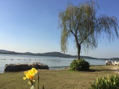 -蠡湖大桥公园