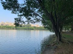 -三水森林公园
