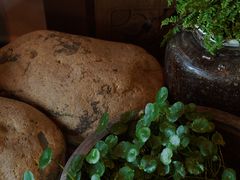 -梁鸿国家湿地公园