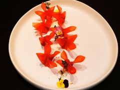 -荣公子创意菜