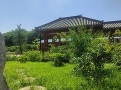 -西安汉城湖景区