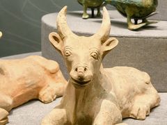 -广西壮族自治区博物馆