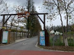 -前小桔亲子创意农场·草莓采摘·露营烧烤