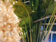 -天空花园餐吧·生日·团建(南山店)