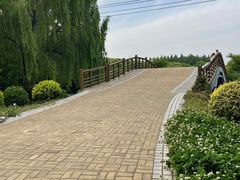-同里国家湿地公园