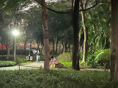 -火炉山森林公园