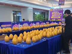 -红星美凯龙北京至尊MALL(东四环中路店)