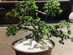 -苏小柳手作点心(控江旭辉分院)