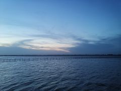 -漕湖湿地公园