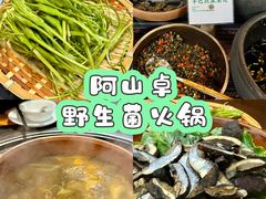 -阿山卓·野生菌火锅·纳西火塘烤肉