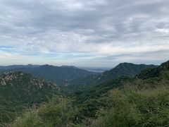 -大岭沟猕猴桃谷风景区