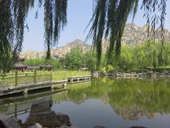 -天涯山