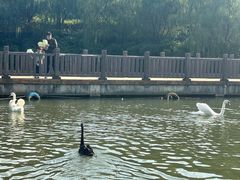 -无锡动物园·太湖欢乐园