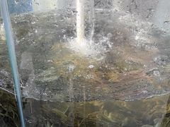 -仙螺岛海鲜自助餐厅(总店)